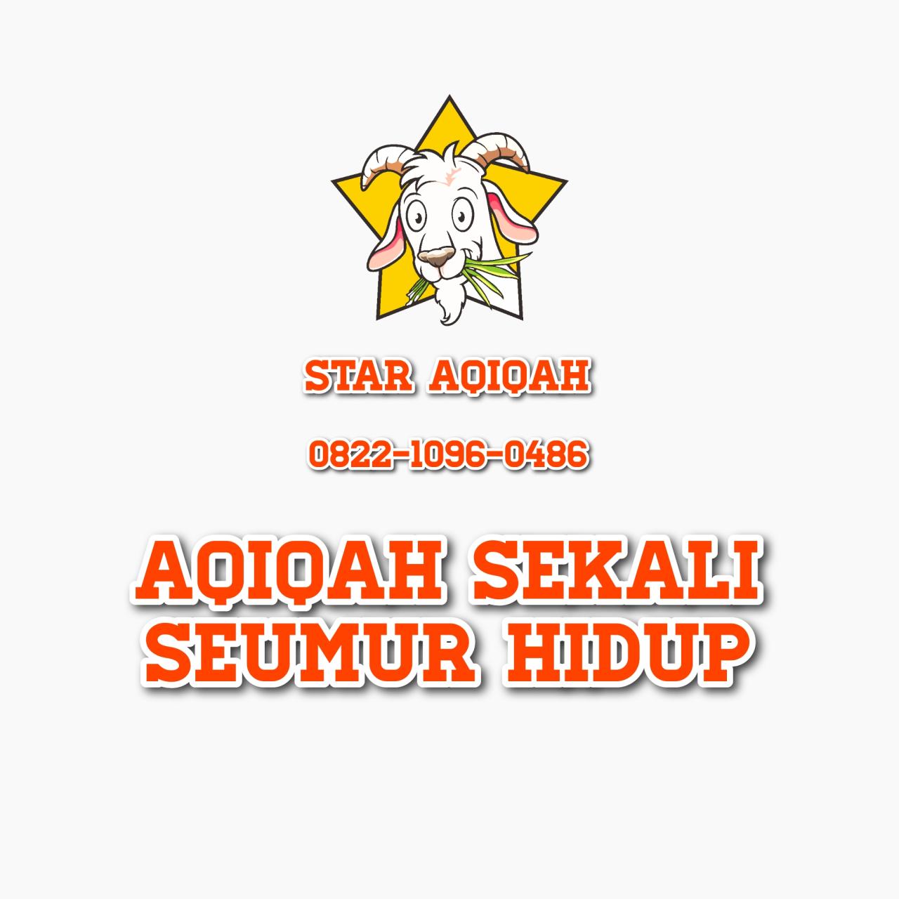Memahami Perbedaan Qurban dan Aqiqah 2 Perbedaan qurban dan aqiqah