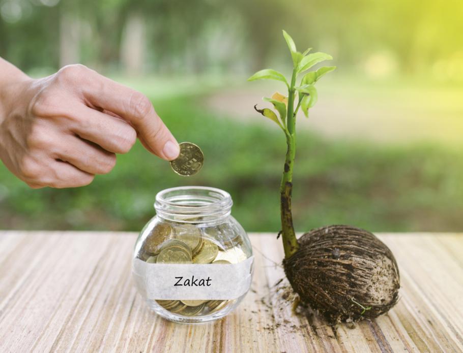 Zakat Sebagai Solusi Pengentasan Kemiskinan Di Pedesaan 25 Zakat sebagai Solusi Pengentasan Kemiskinan di Pedesaan